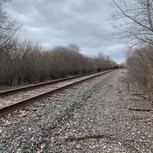 Meet your Posher, Roy